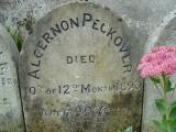 image of grave number 240607